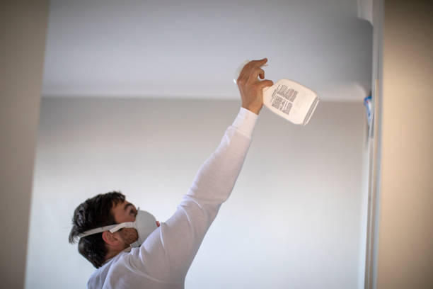 Best Certified Mold Removal  in Parsippany, NJ