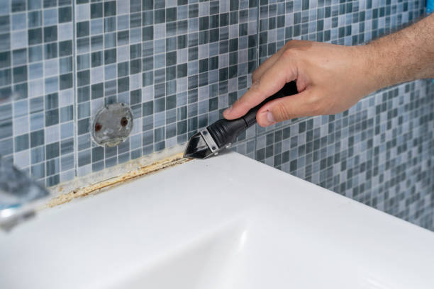 Mold Removal and Inspection in Parsippany, NJ