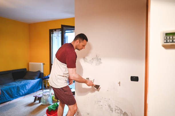 Best Mold Inspection  in Parsippany, NJ