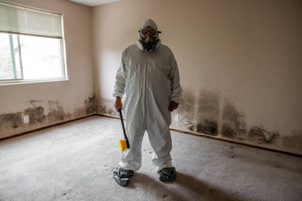 Certified Mold Removal in Parsippany, NJ